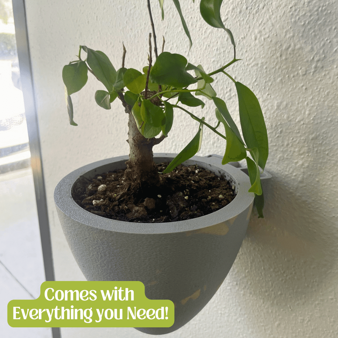 Magic Self-Watering Wall Planters Easy Care Indoor Outdoor Plant Pots