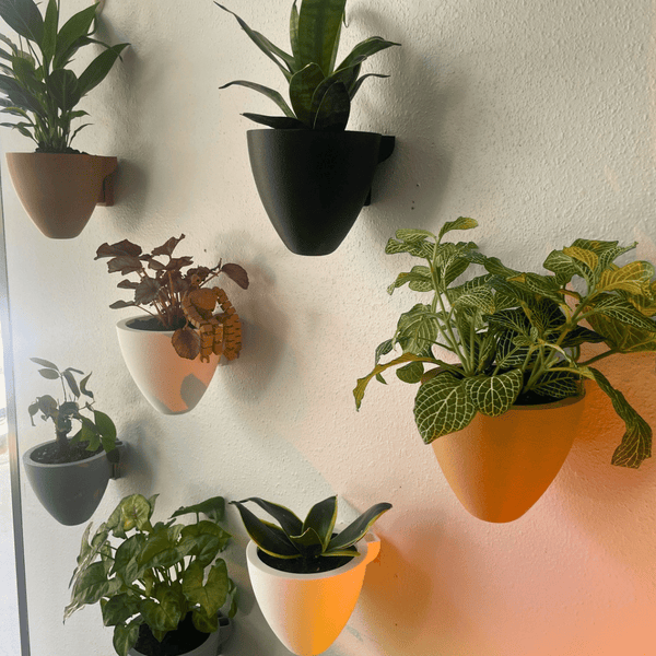 Magic Self-Watering Wall Planters Easy Care Indoor Outdoor Plant Pots