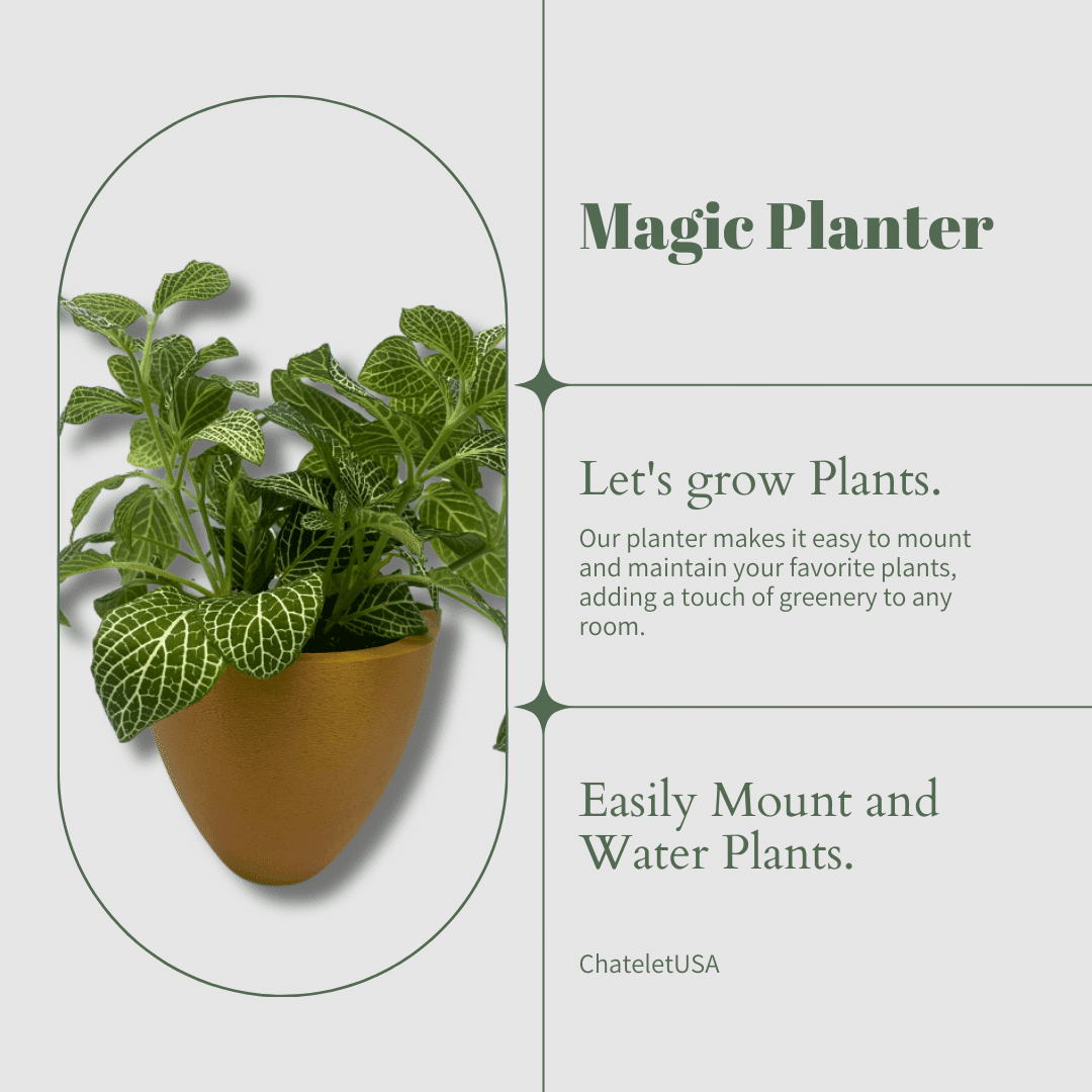 Magic Self-Watering Wall Planters Easy Care Indoor Outdoor Plant Pots