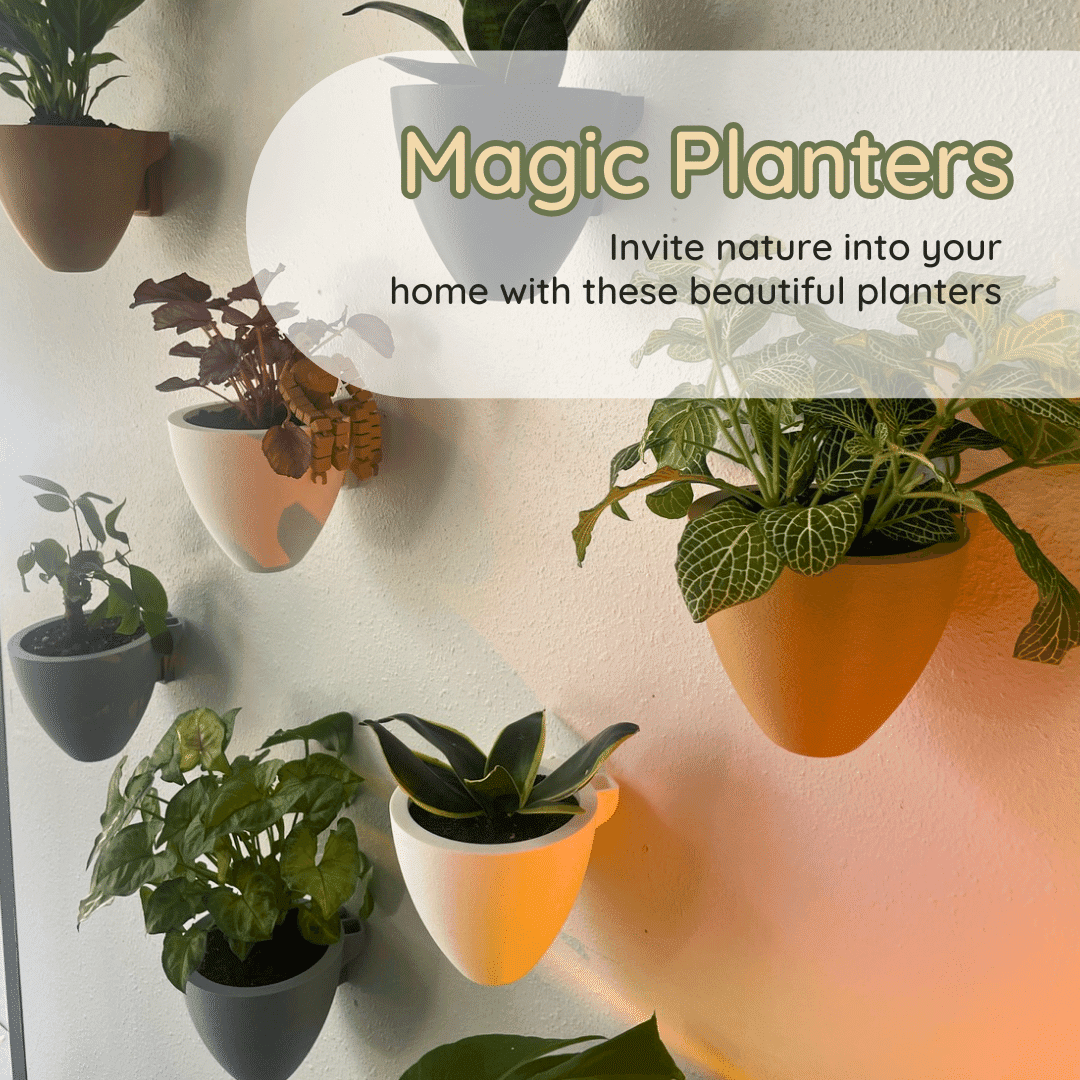 Magic Self-Watering Wall Planters Easy Care Indoor Outdoor Plant Pots