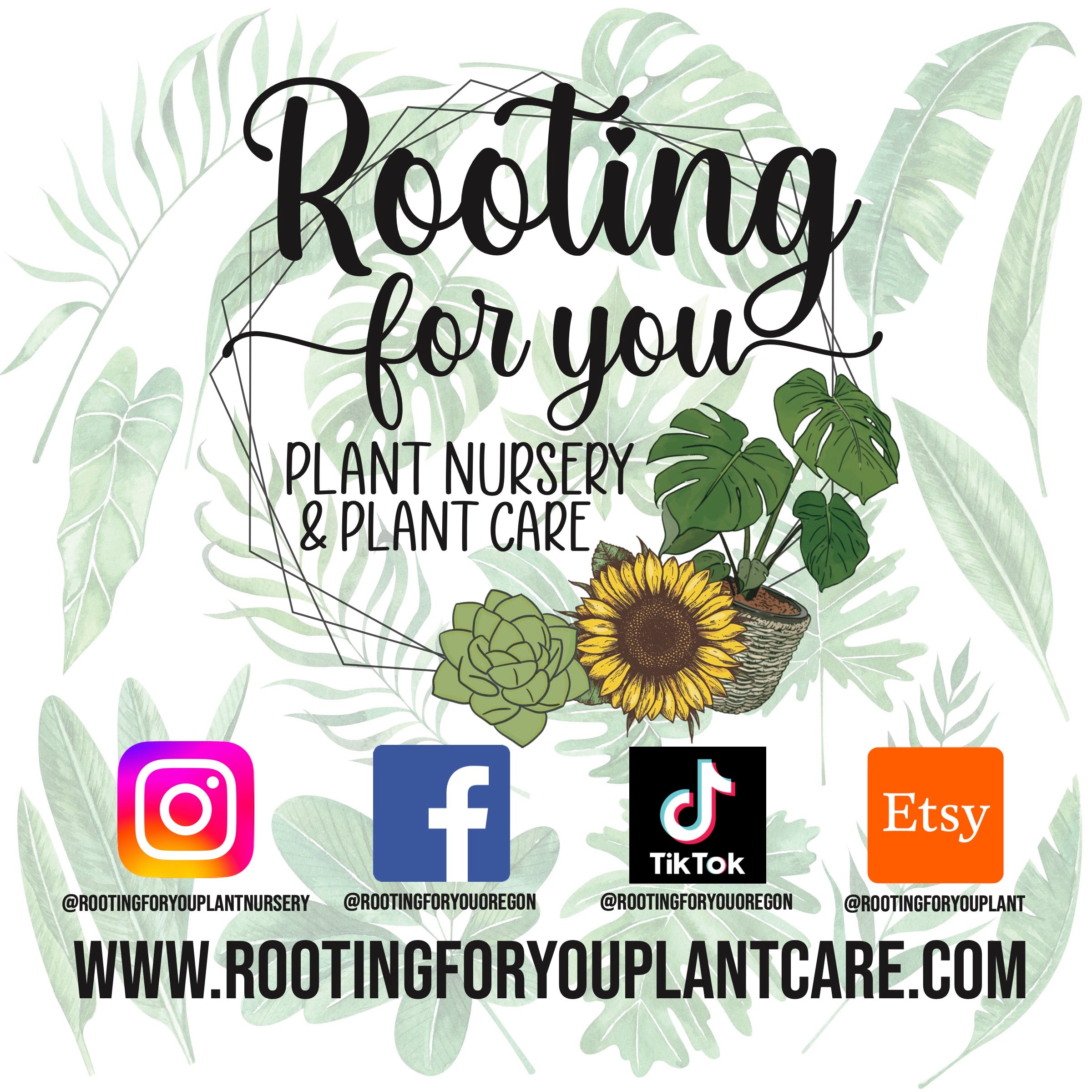 Spider Plant Premium Potting Mix