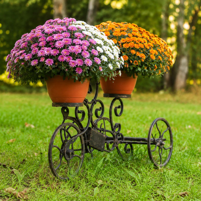 Decorative flower stand with three potted flowers on a grassy background